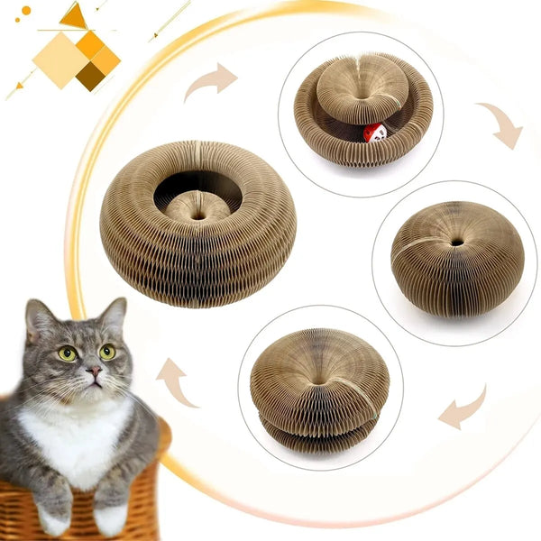 CATSHEE™ Magical Scratcher Cat Toy with Ball