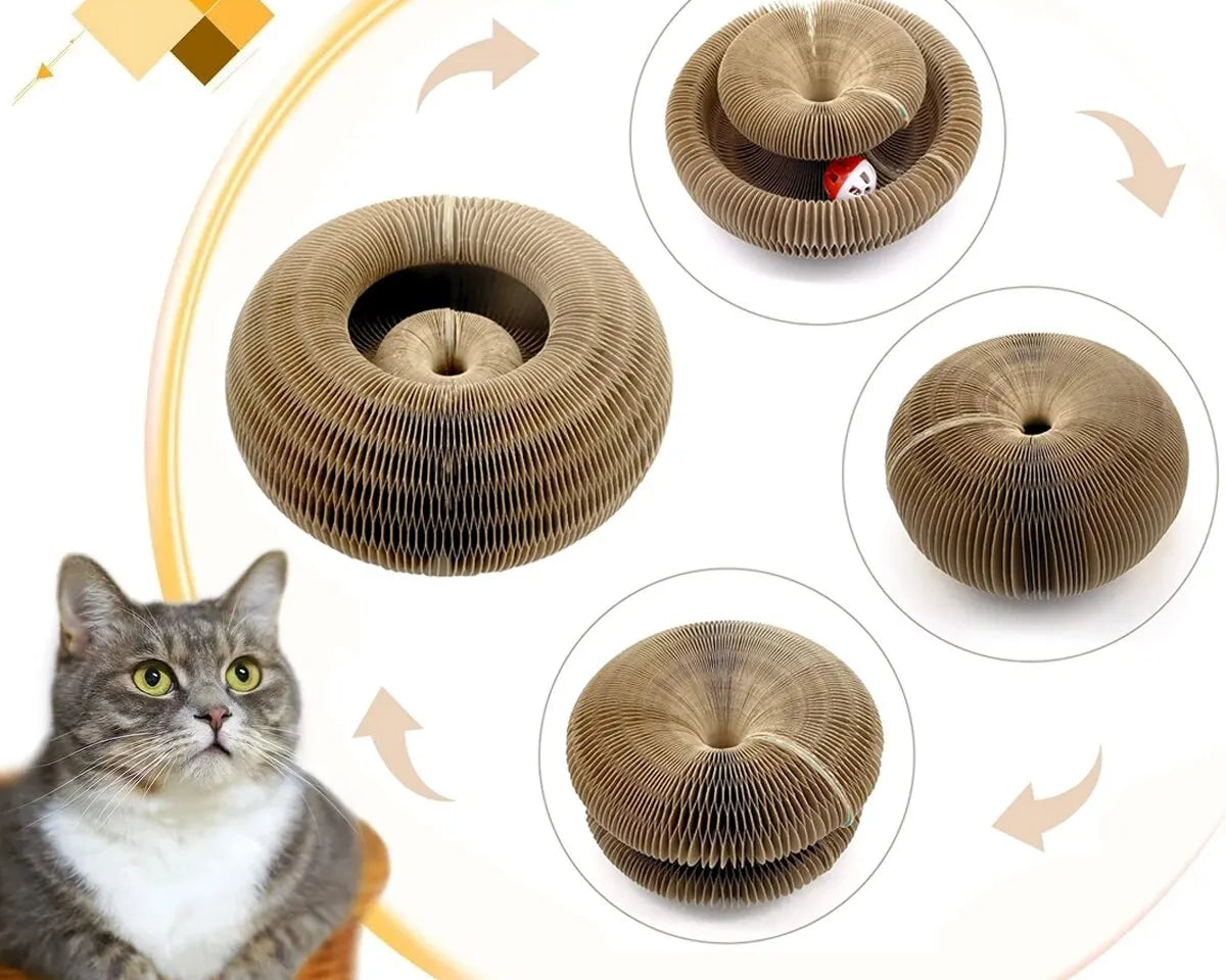 CATSHEE™ Magical Scratcher Cat Toy with Ball