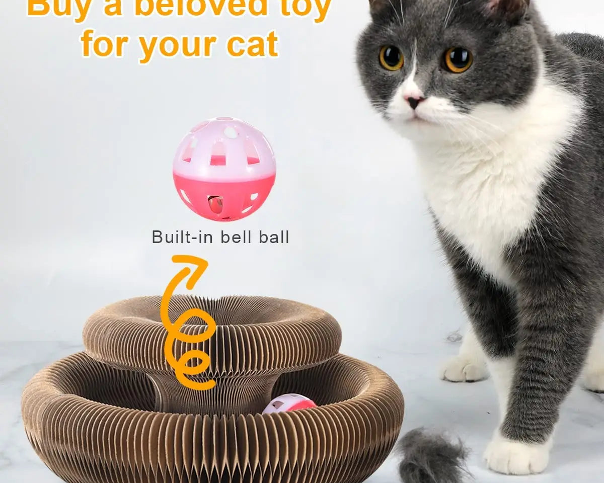 CATSHEE™ Magical Scratcher Cat Toy with Ball