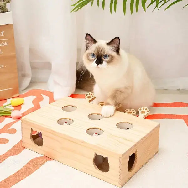 Wooden Automatic Interactive Cat Toys in use