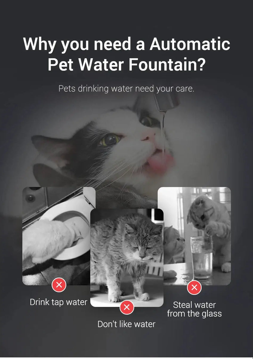 Transparent Cat Water Fountain 1.5L with Smart Purifier - CATSHEE