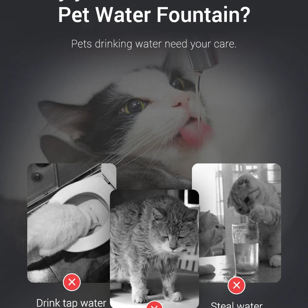 CATSHEE™ 1.5L Transparent Cat Water Fountain with Smart Purifier