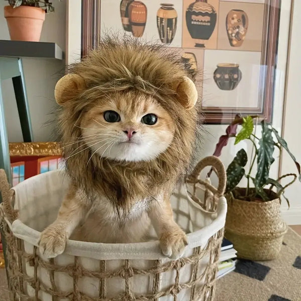 Cat wearing a realistic lion mask