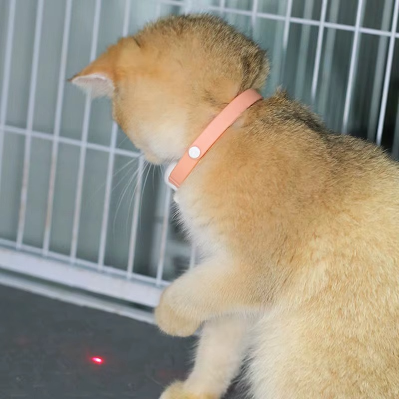 Laser Collars Smart Laser Cat Collar: Interactive, Fun, Rechargeable Toy – CATSHEE