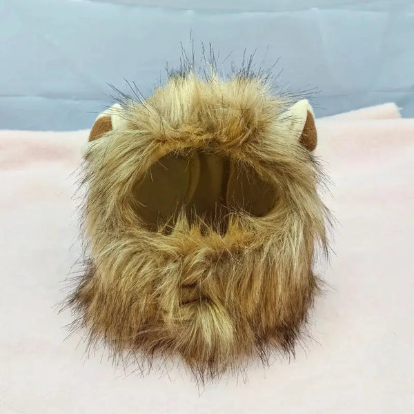 Fun cat costume with lion head mask