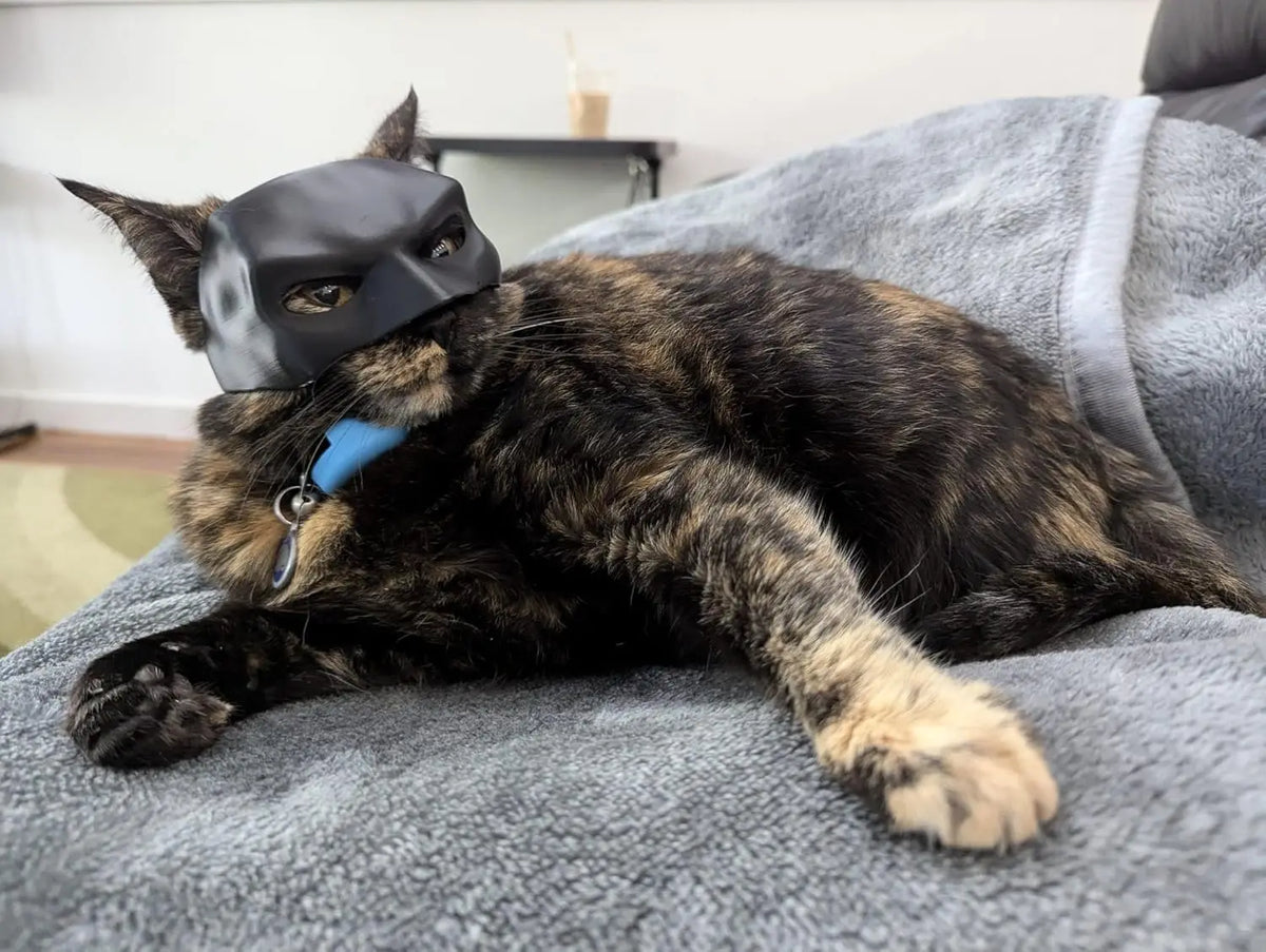 CATSHEE™ Cat Bat SuperHero Mask