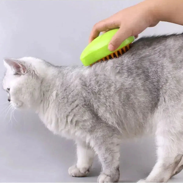 Cat grooming with steamy brush