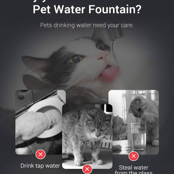 Automatic Cat Fountain 2L with Sensor and Filter - CATSHEE