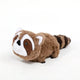  Raccoon