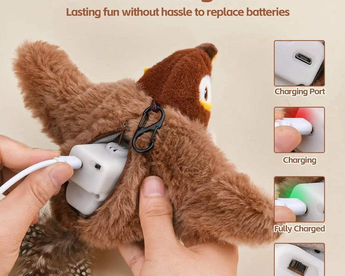 boucing_toy_cats_usb