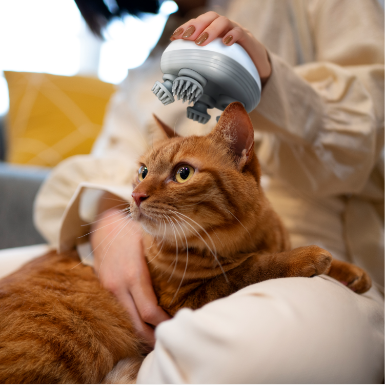 CATSHEE™ Electric Cat Massager