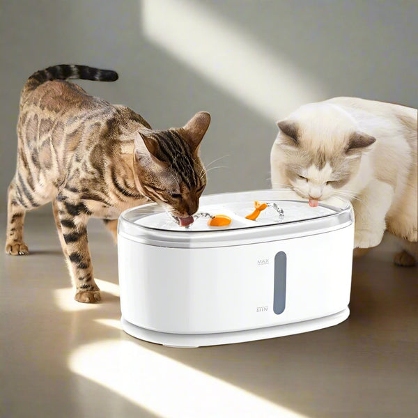 CATSHEE™ 2.5L Automatic Cat Water Fountain with Dual Bowls