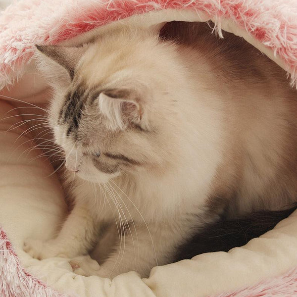 CATSHEE™ Winter Soft Plush Cat Bed