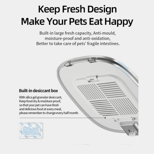 Automatic Cat Feeder 4L with Stainless Steel Bowl - CATSHEE