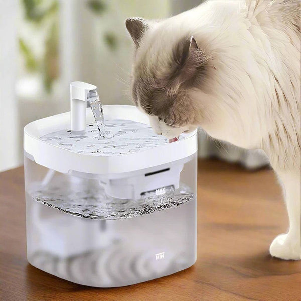 Transparent Cat Water Fountain 1.5L with Smart Purifier - CATSHEE