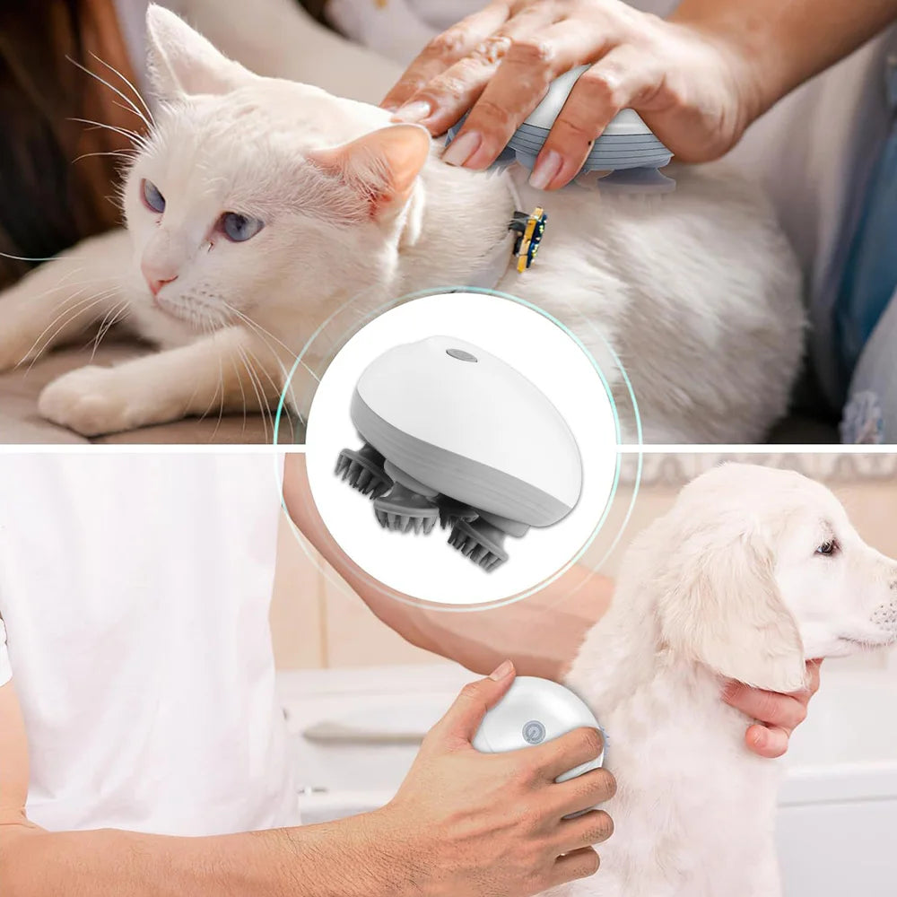 Electric Cat Massager for Relaxation | CATSHEE™ Pet Wellness