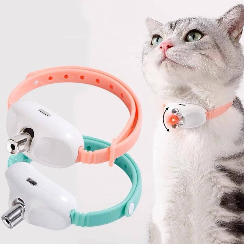 Cat playing with smart laser collar