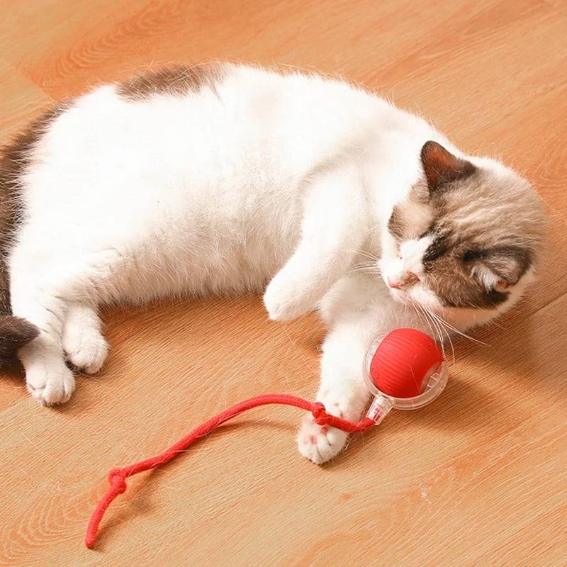 Self-Moving Electric Cat Ball Toy – Interactive Fun for Cats