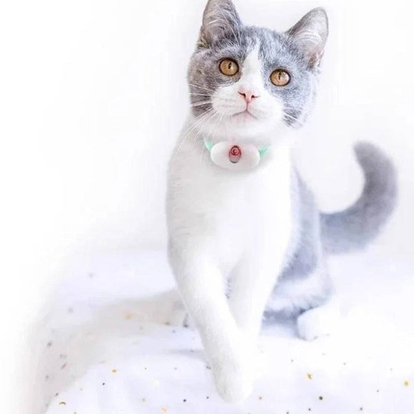 Interactive cat collar with laser toy