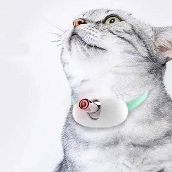 Rechargeable cat collar for endless fun