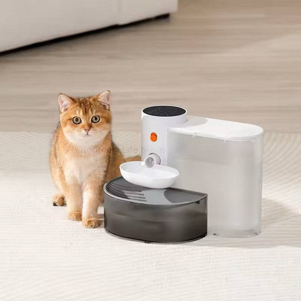 Smart pet water fountain in use