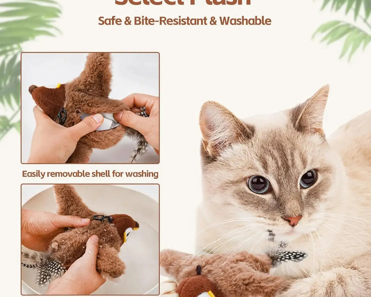 plush_cat_boucing_toy
