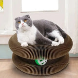 Cat playing with scratcher toy and ball